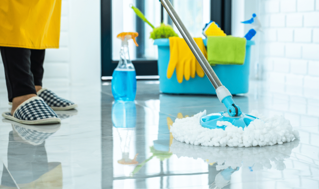 House Cleaning 1